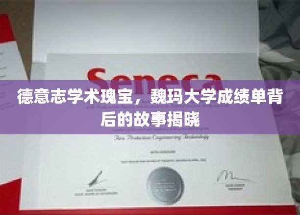 探寻魏玛大学荣耀，解码德意志学术瑰宝的辉煌历程