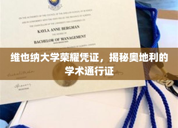 揭开维也纳大学荣光，探寻奥地利学术界的黄金通行证