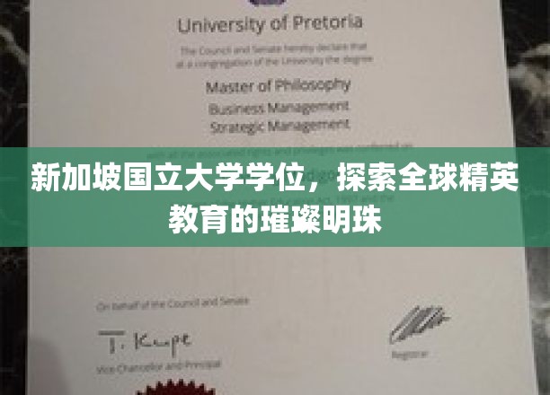 新加坡国立大学，闪耀全球的精英教育典范