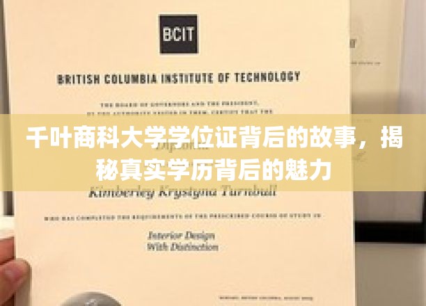 千叶商科大学学位证，探寻学历背后的非凡魅力与传奇故事