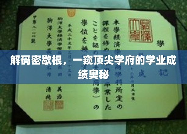 探秘密歇根，揭秘世界一流学府的学术成就内幕