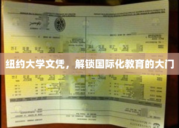 纽约大学文凭，解锁国际化教育的大门