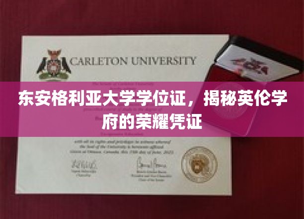 东安格利亚大学学位证，揭秘英伦学府的荣耀凭证