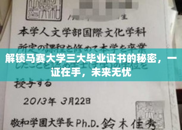 掌握马赛大学三重通行证，成就无界未来