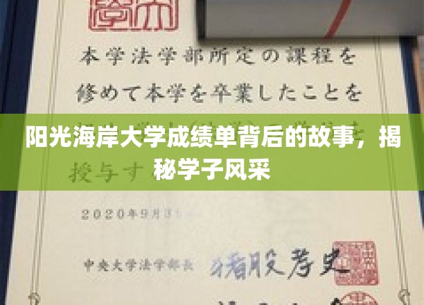 阳光海岸大学成绩单背后的故事，揭秘学子风采