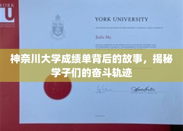 神奈川学子奋斗足迹，一纸成绩单背后的青春传奇