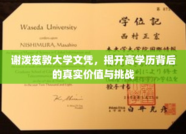 谢泼兹敦大学文凭，展现高学历背后的价值与挑战