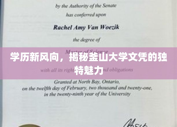 釜山大学学历新篇章，揭秘国际视野下的璀璨光芒