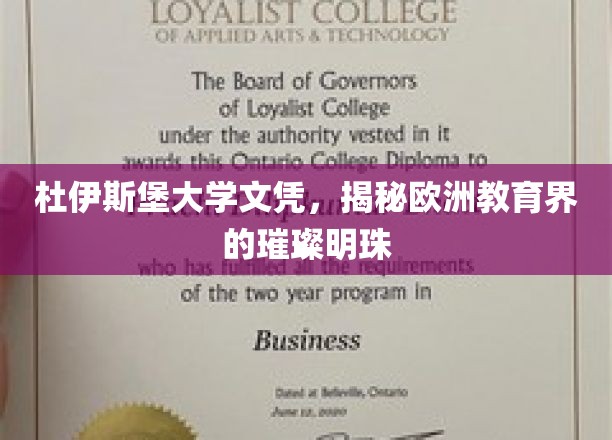 欧洲教育瑰宝，杜伊斯堡大学文凭背后的独特魅力