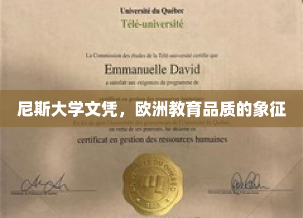 欧洲学术瑰宝，尼斯大学文凭，品质教育的璀璨名片