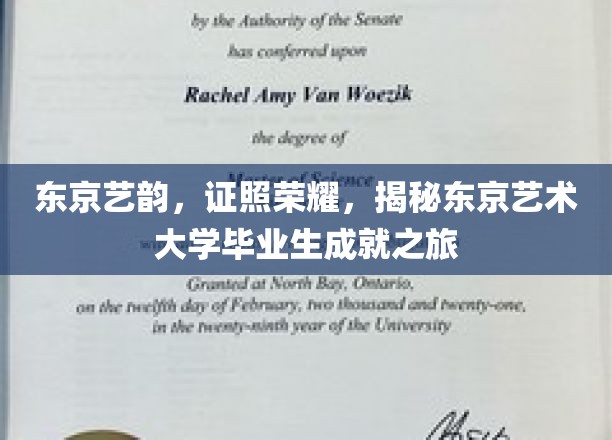 艺梦东京，毕业生荣耀轨迹，艺术殿堂的璀璨足迹