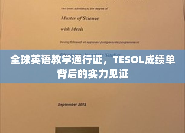 掌握国际英语教学金钥匙，TESOL证书彰显非凡教学实力