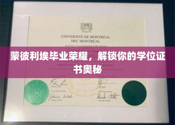 蒙彼利埃荣耀揭晓，解锁学位证书背后的非凡之旅