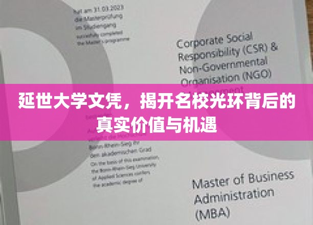 名校光环下的真实价值与机遇，延世大学文凭背后的秘密启示