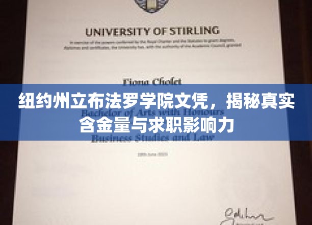 纽约州立布法罗学院文凭，揭秘就业市场中的实际价值与职场敲门砖