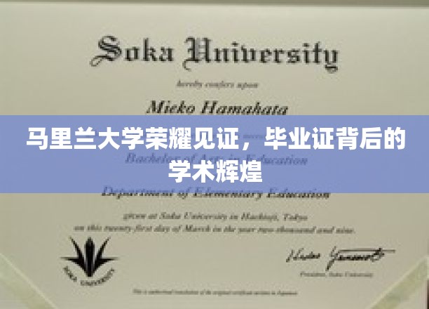 马里兰荣耀，毕业证书彰显学术璀璨之光