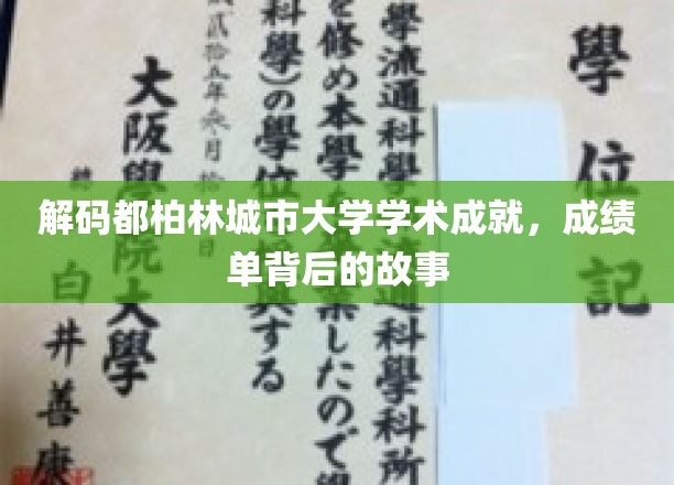 解码都柏林城市大学学术成就，成绩单背后的故事