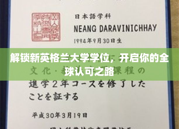 跨越国界，新英格兰大学学位助你迈向国际舞台