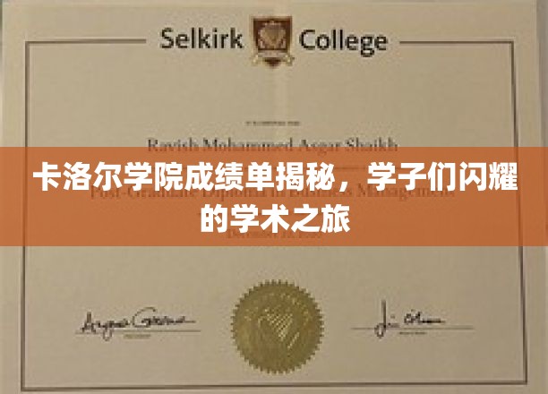 卡洛尔学院学子风采录，揭秘非凡学术成就之旅