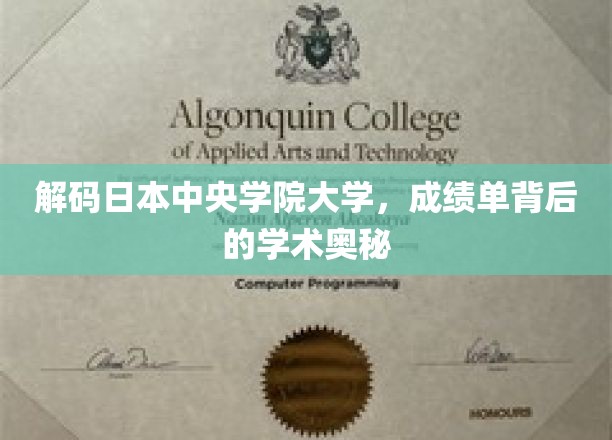 解码日本中央学院大学，成绩单背后的学术奥秘