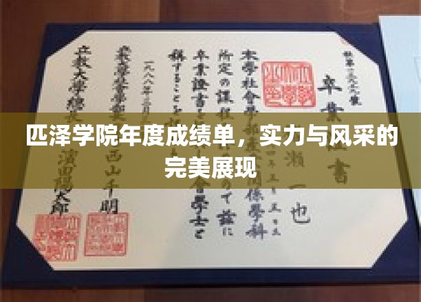 匹泽学院荣耀榜，年度成绩闪耀，学子风采熠熠生辉