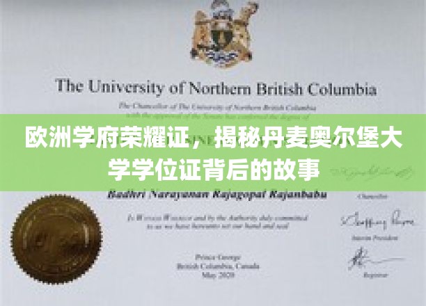欧洲学府荣耀证，揭秘丹麦奥尔堡大学学位证背后的故事