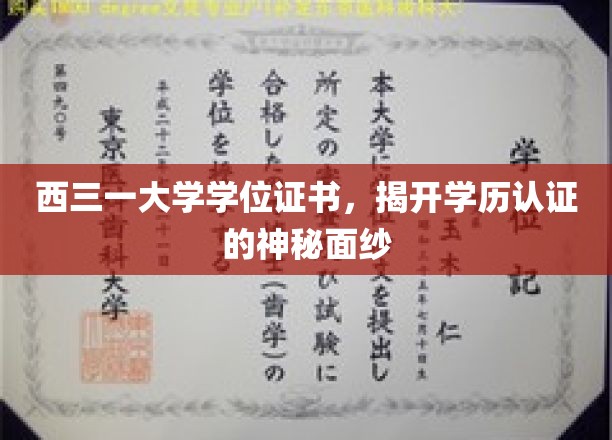 西三一大学证书揭秘，学历认证背后的真实面貌