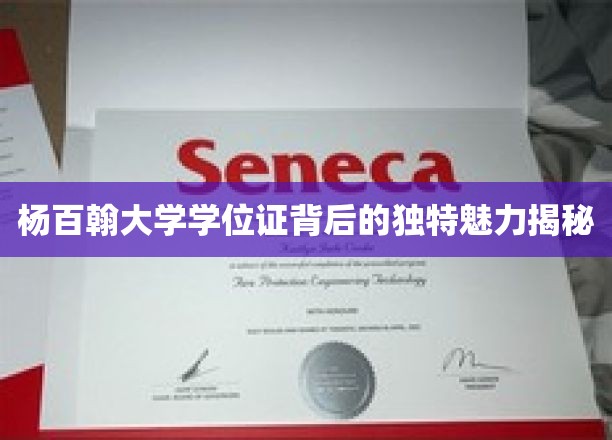 杨百翰大学学位证书背后的独特魅力揭秘
