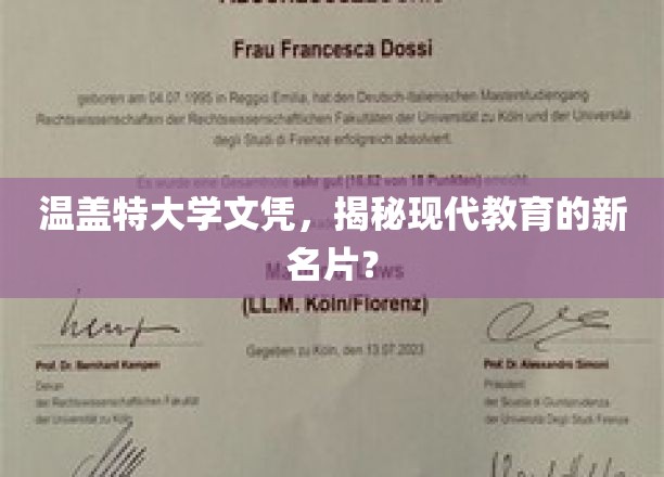 温盖特大学文凭，现代教育变革下的新象征？