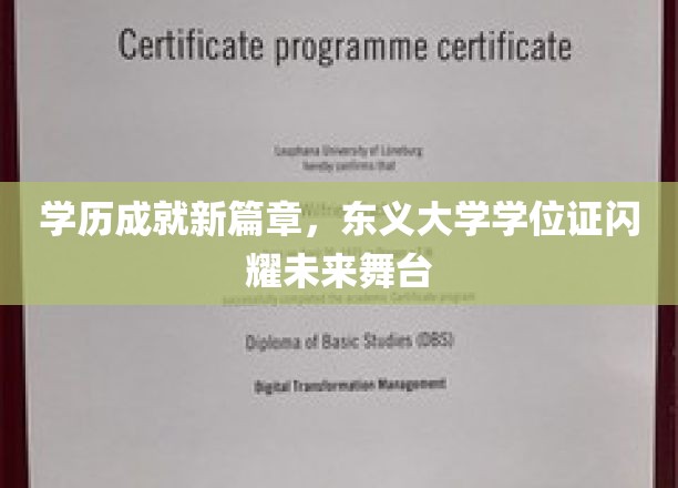 东义荣耀，学位证开启人生新舞台，学历成就非凡篇章