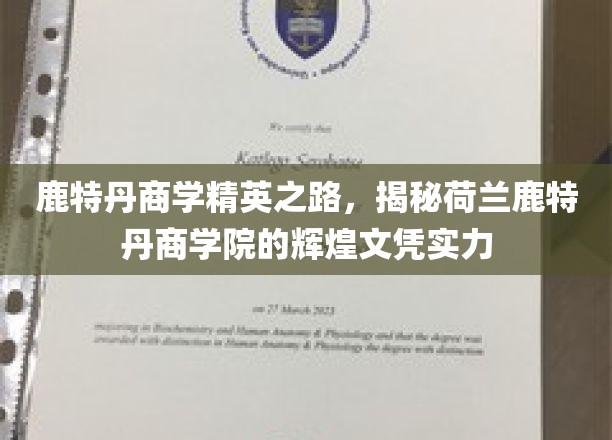 解码鹿特丹商学巅峰，荷兰商学院的璀璨学历成就探秘