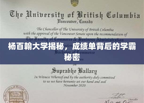 杨百翰大学学霸档案，揭秘成绩单背后的学习奥秘