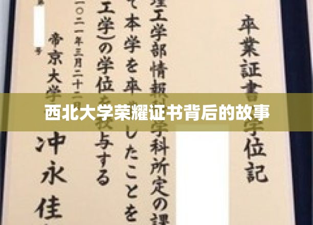 西北大学荣耀证书背后的故事