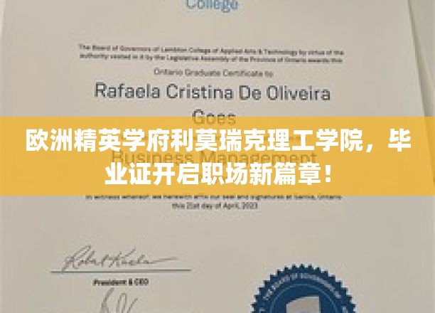 解锁未来职场新机遇，利莫瑞克理工学院毕业证书引领潮流