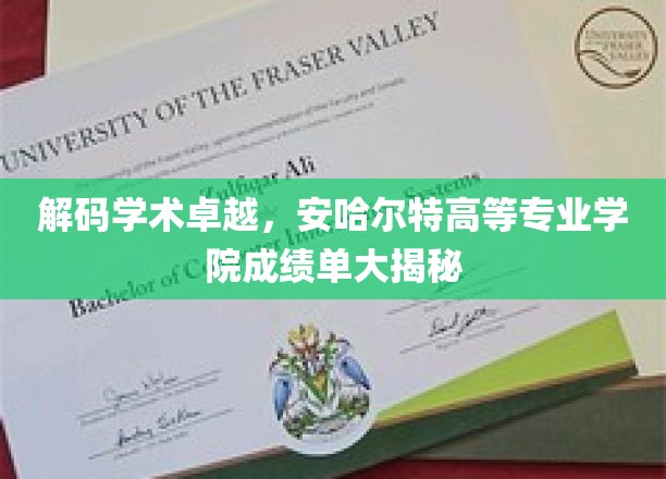 揭秘精英摇篮，安哈尔特高等专业学院学术辉煌全纪录