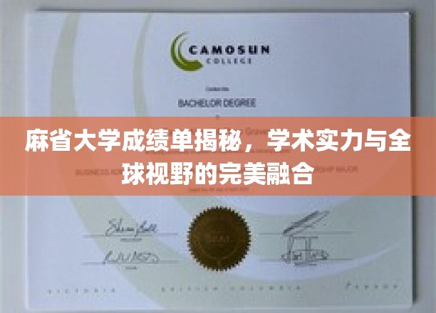 解锁麻省大学成绩单，全球精英教育的真实写照