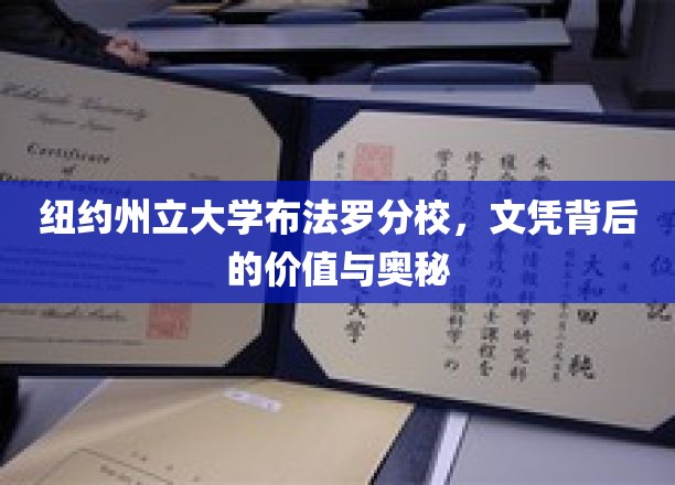 探寻纽约州立大学布法罗分校文凭的内在价值与神秘面纱