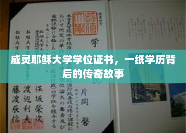 威灵耶稣大学学位证书，一纸学历背后的传奇故事
