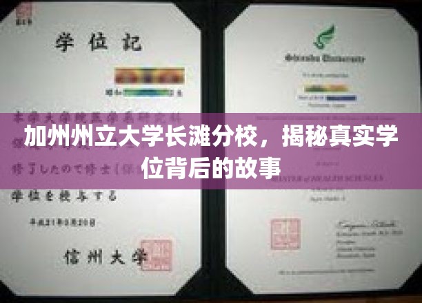 加州州立大学长滩分校，揭秘真实学位背后的故事