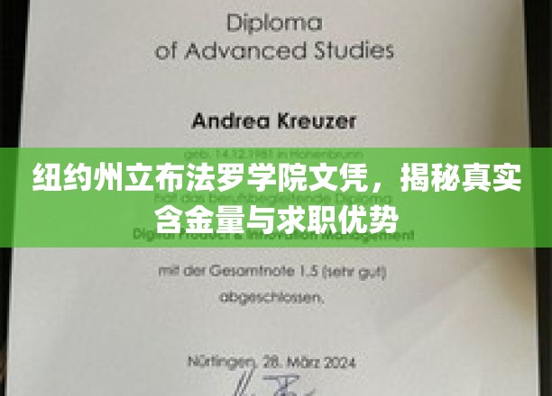 纽约州立布法罗学院文凭，揭秘真实含金量与求职优势