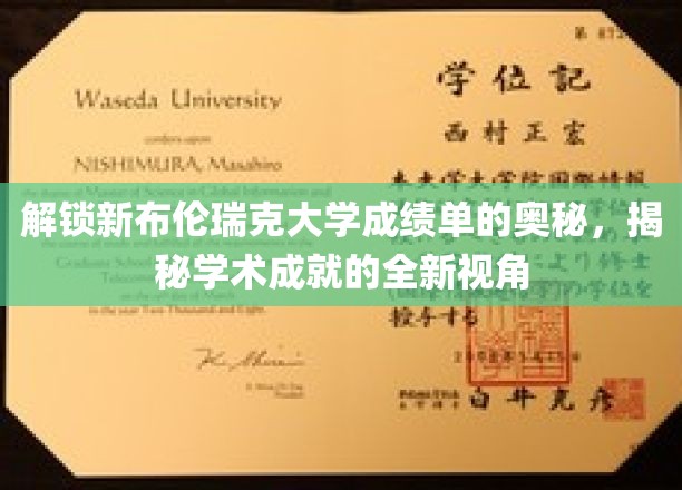 解锁新布伦瑞克大学成绩单的奥秘，以全新视角揭秘学术成就