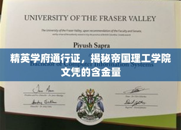 解码帝国理工学院，名校文凭背后的精英价值