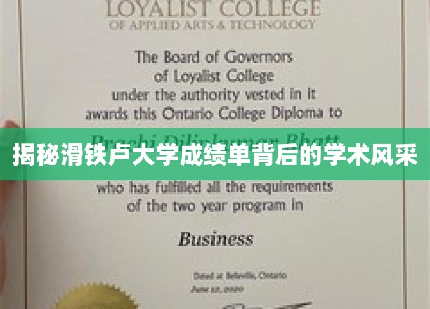 解码滑铁卢大学成绩单，一窥学术精英的卓越之路