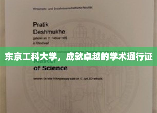 东京工科大学，成就卓越的学术通行证