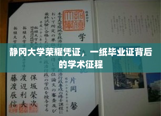 静冈大学荣耀凭证，一纸毕业证背后的学术征程