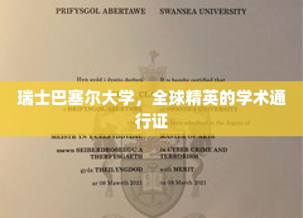 巴塞尔大学，精英学子全球学术之旅的璀璨起点