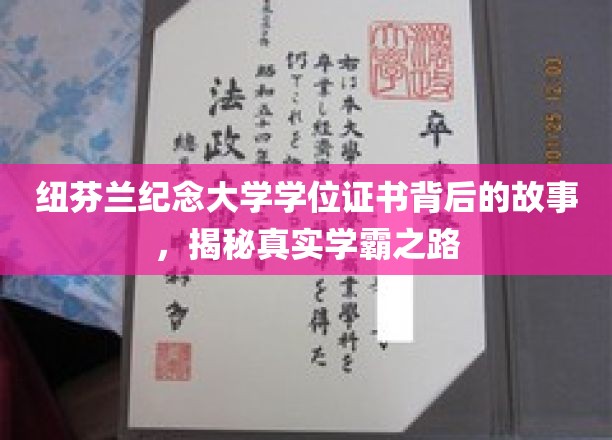 纽芬兰纪念大学学霸秘籍，一纸学位证背后的奋斗传奇