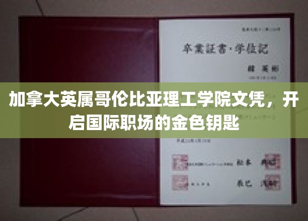 海外职场通行证，加拿大英属哥伦比亚理工学院文凭助你一跃龙门