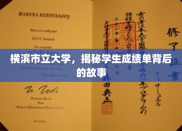 探寻横滨市立大学，成绩单背后的成长轨迹