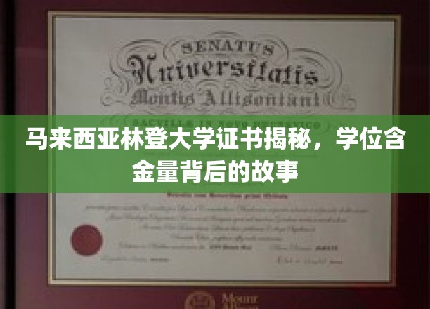 马来西亚林登大学学位探秘，揭秘其证书背后的真实价值